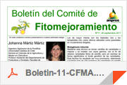 boletines11