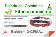 boletines12