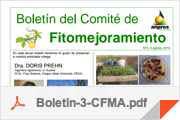 boletines3