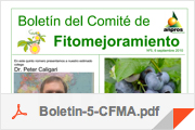 boletines5
