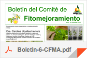 boletines6